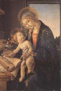 Sandro Botticelli Madonna and child or Madonna of the book France oil painting artist